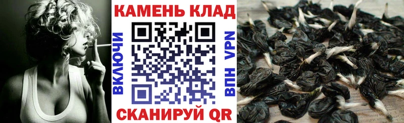ГАШ индика сатива  KRAKEN сайт  Волосово 