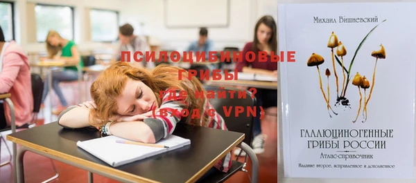 бошки Бородино