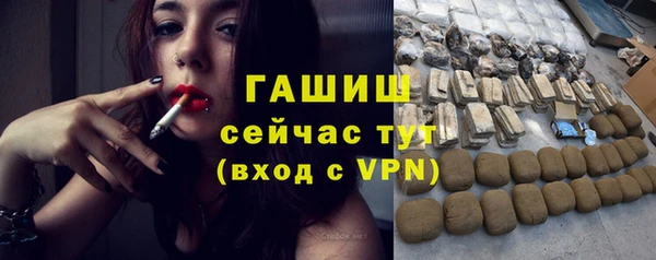 стаф Верея