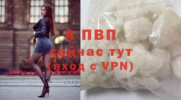 стаф Верея