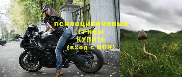 соль ск Верхний Тагил