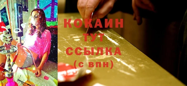 стаф Верея